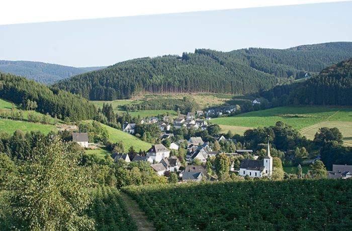 Pension Alois Hennecke Schmallenberg Exterior foto